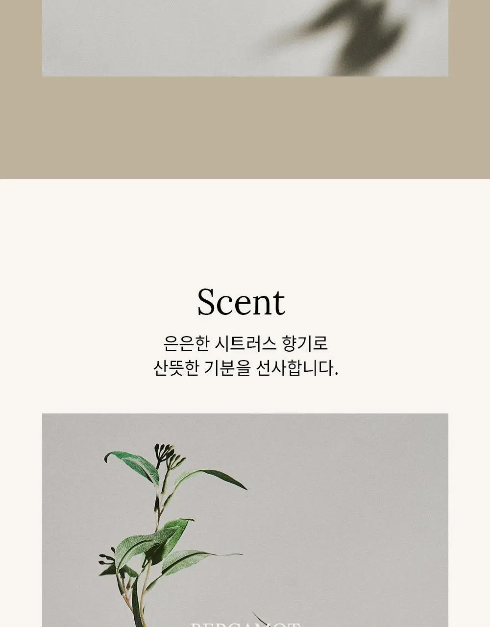 [변우석 Pick]다슈 프로 에어리 폴리쉬 오일 100ml 기획세트(+10ml 증정) 상세페이지 33